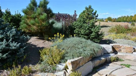 The Benefits Of Xeriscaping For Your Boise Property Mrchipp