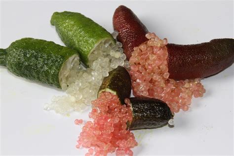 Australian Native Finger Limes Are Known As The Caviar Of Citrus R Damnthatsinteresting