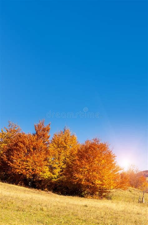 Colored Autumn Mountains Stock Image Image Of Land Bright 90492595