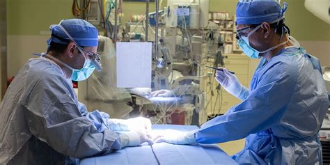 Department And Faculty Vascular Surgery Fellowship Minnesota Mayo Clinic College Of