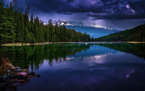 Nature Landscape Summer Lake Reflection Mountain Grass Forest Snowy