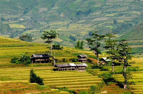 300 Cảnh đẹp Tây Bắc Việt Nam Để Bạn Khám Phá Những Vùng đất Hoang Sơ