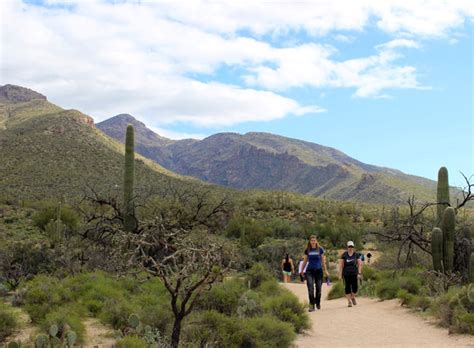 Bear Canyon Hiking Trail To Seven Falls Tucson Splendor
