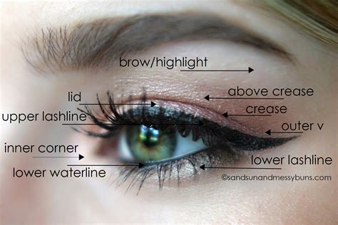Makeup 101 Eyeshadow Diagram For Makeup Newbies Sand Sun And Messy Buns