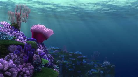 Finding Nemo Coral Reef Scene