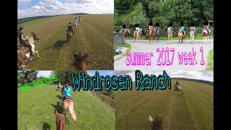 A wind rose is a graphic tool used by meteorologists to give a succinct view of how wind speed and direction are typically distributed at a particular location. WINDROSEN RANCH | summer 2017 impressions week 1 - YouTube