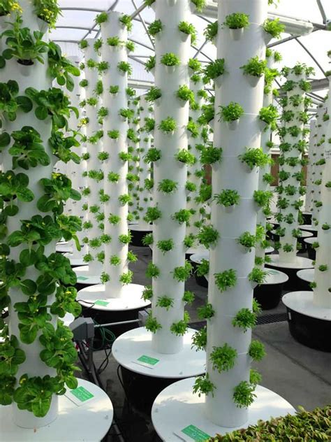 Try using some pvc pipe to build a flower tower. Vertical Aeroponic Tower Garden