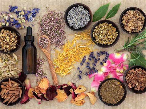 The A Z Of Herbal Remedies Saga