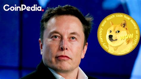 Musk's love for dogecoin does not come as a surprise for anyone who follows his twitter feed, which punctuates news of rocket launches and electric car updates with how did dogecoin become elon musk's favourite cryptocurrency? Elon Musk's Favourite - Dogecoin is Going to the moon
