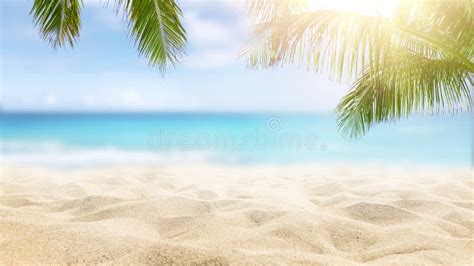 Tropical Beach With Palm Trees Stock Image Image Of Blue Turquoise