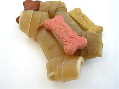 Rawhide For Puppies, Is It Safe? - Pet Food Reviewer