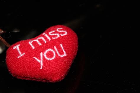 I Miss You Free Stock Photo Public Domain Pictures