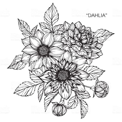 Black And White Drawing Of Flowers With The Words Dahla Written On It