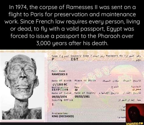 In 1974 The Corpse Of Ramesses Il Was Sent On A Flight To Paris For