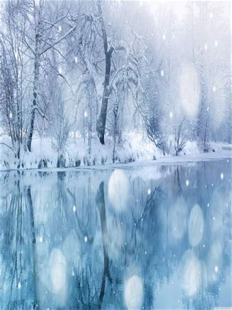 2021 Dreamlike Winter Scene Photography Backdrops Vinyl Fabric Snow