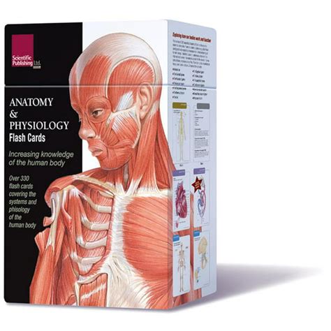 Anatomy And Physiology Flash Cards