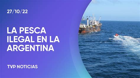 Aseguran Que La Pesca Ilegal En El Mar Argentino Genera Pérdidas De