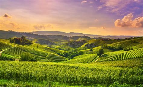 Langhe Vineyards View Castiglione Falletto And La Morra Piedmont