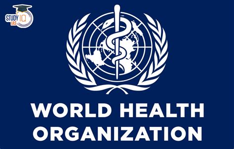World Health Organization Function Funding And Challenges