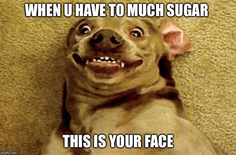 sugar momma meme photos
