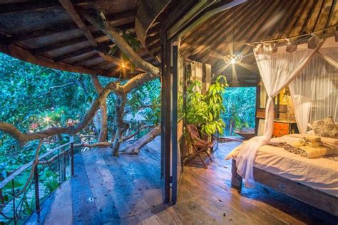 10 Eco Resorts In Bali Where You Can Immerse Yourself In Nature From 24night Thesmartlocal