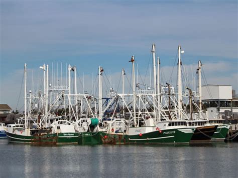 Cape May New Jersey Commercial Fishing