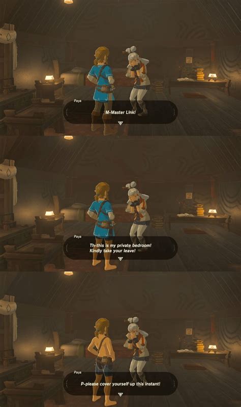 Botw When Link Gets Ready For Loving Legend Of Zelda Memes Zelda Funny Legend Of Zelda
