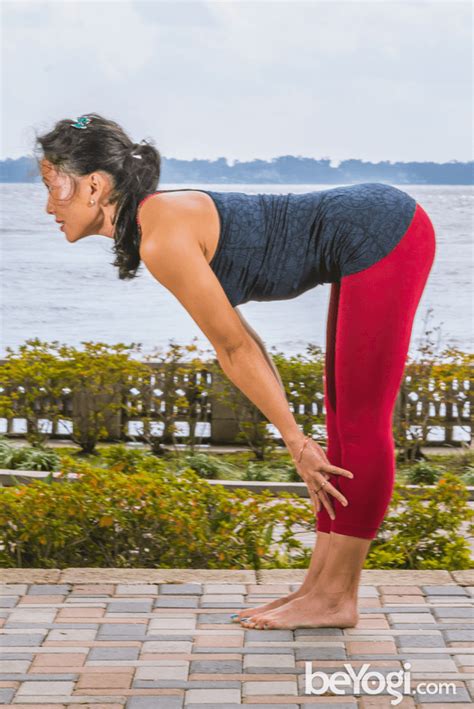 Standing Half Forward Bend Ardha Uttanasana Is Part Of The Sun Salutation Sequence Practiced