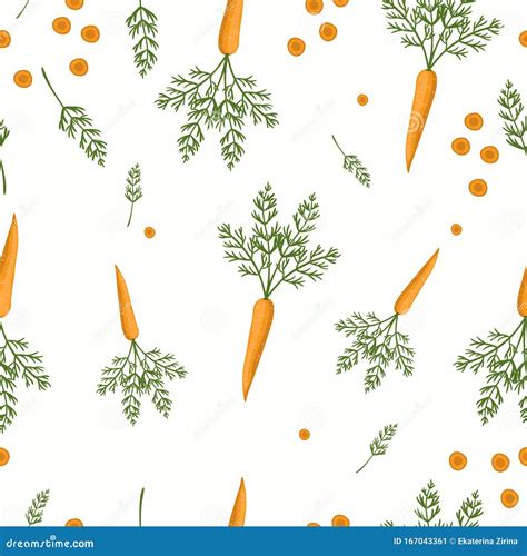 Carrot Seamless Pattern Carrot On A White Background Vector Graphics