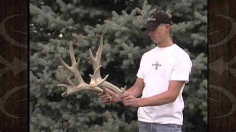 Giant Mule Deer Sheds Mossback Youtube