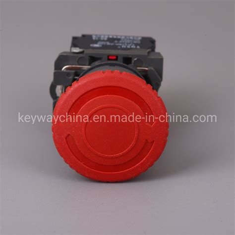 22mm 6v 380v Red Emergency Electrical Push Button Switch China Push