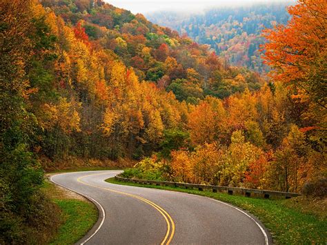Autumn In The Smokies Great Smoky Mountains National Park Photograph