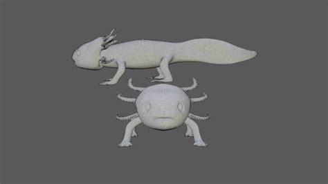 Axolotl 3d Model Rigged And Low Poly Team 3d Yard