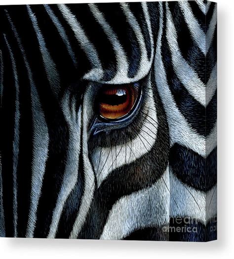 Zebra Canvas Print Canvas Art By Jurek Zamoyski In 2021 Zebra Art