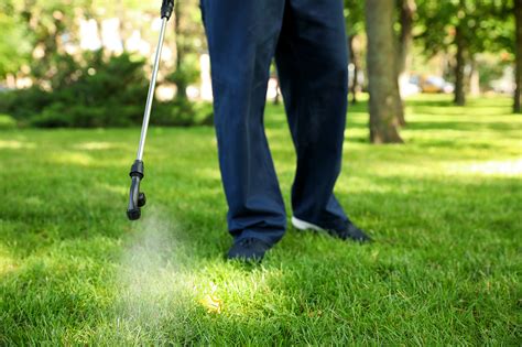 Outdoor Pest Control In Walled Lake Mi Go Green Lawn Care