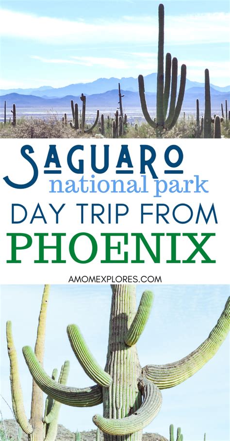 Visiting Saguaro National Park With Little Kids — A Mom Explores