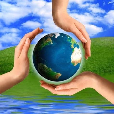 Qué Es El Medio Ambiente Y Cómo Cuidarlo Temas Ambientales