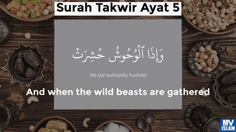 Surah Takwir Ayat 5 815 Quran With Tafsir My Islam