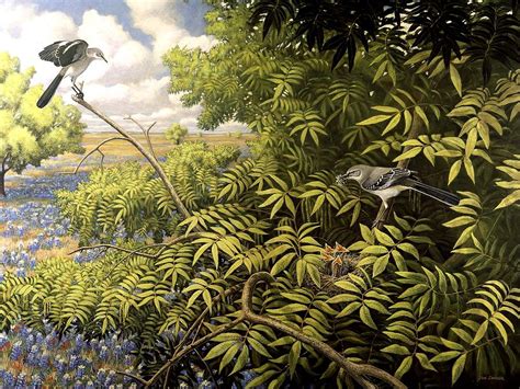 Texas Mockingbirds At Nest Painting By Jon Janosik