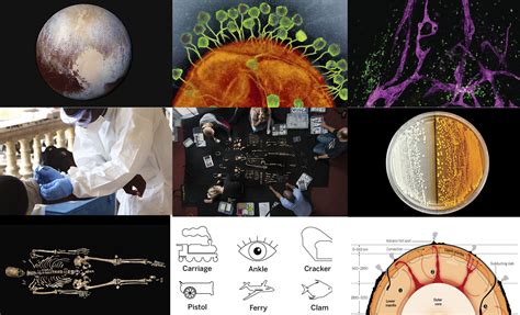 Lo Mejor De La Ciencia En 2015 Noticias Sinc