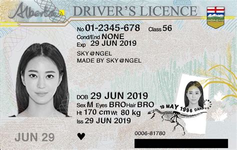 Latest Alberta Back And Front Drivers License Id Card Governor
