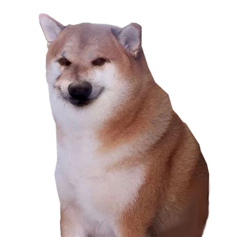 Jeems Rdogelore Ironic Doge Memes Know Your Meme