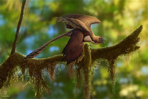 Changyuraptor yangi by R.N Leaubellon on ArtStation | Prehistoric ...