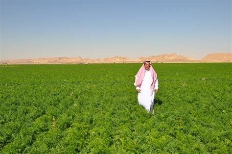 Sustainable Agriculture In The Desert Fairplanet