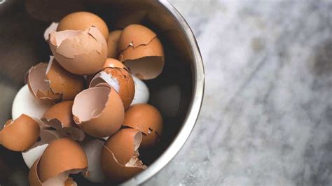 The Benefits And Risks Of Eating Eggshells