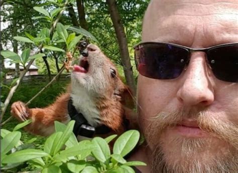 Man Becomes Unlikely Best Friends With Baby Squirrel After Saving Its
