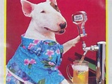 Who is Bud Light dog Spuds Mackenzie - Business Insider