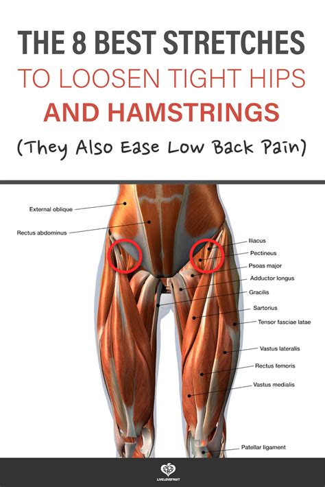 Top 8 Stretches To Loosen Tight Hips And Hamstrings Live Love Fruit