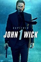 John Wick (Otro día para matar) (2014) - Pósteres — The Movie Database ...