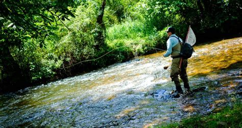 Streamer Fishing For Small Streams Fly Fishing Gink